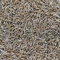 Cumin Seeds