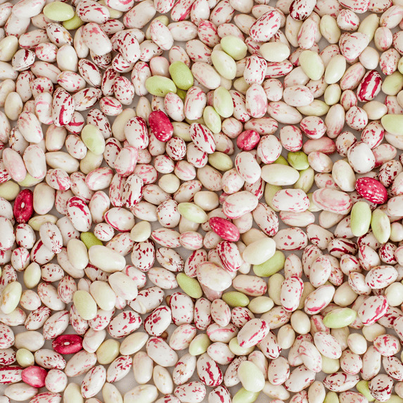 White And Red Speckled Sugar Beans - Origin: India