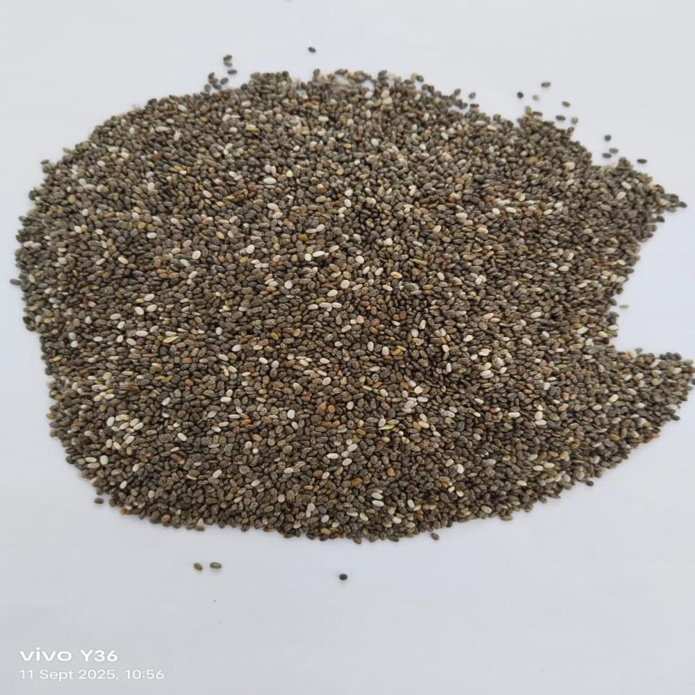 Organic Chia Seeds - Color: Black