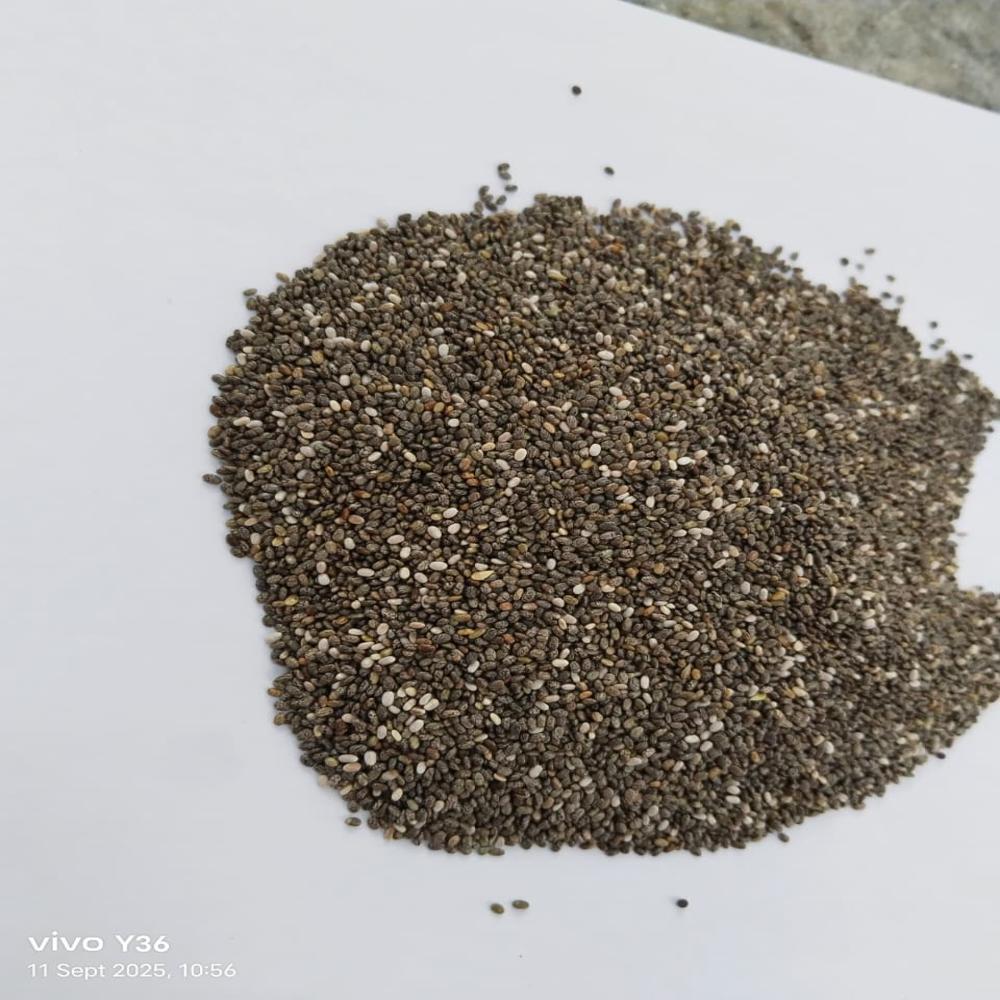 Organic Chia Seeds - Color: Black