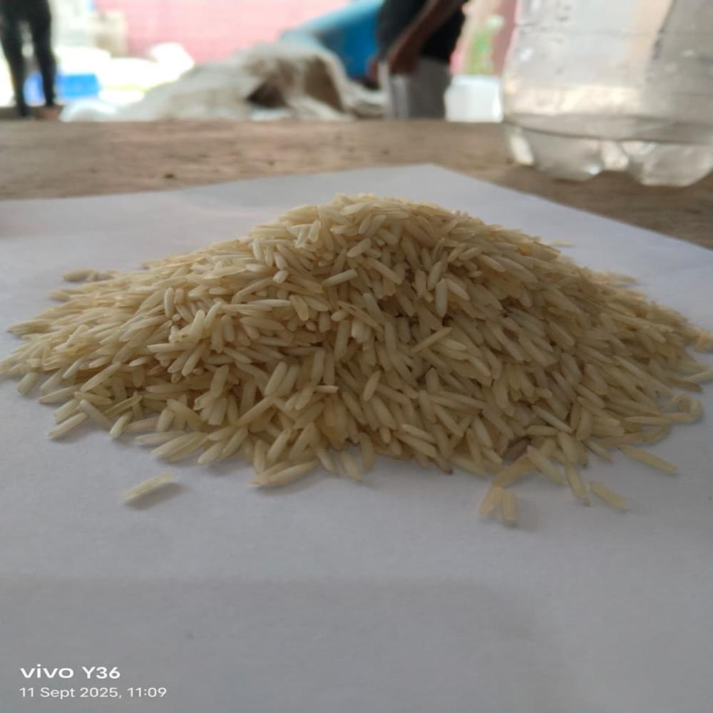 Organic Briyani Basmati Rice - Color: Yellow