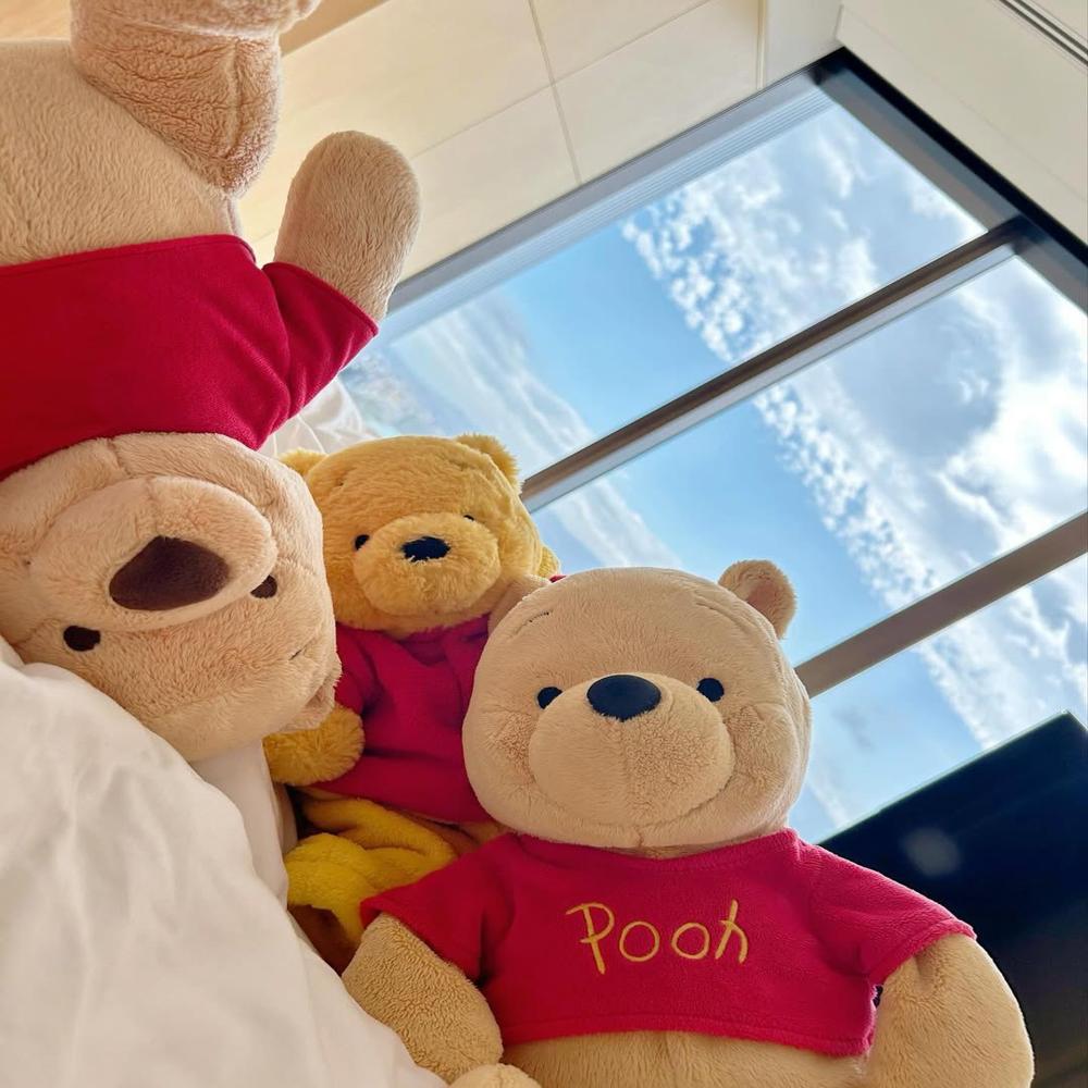SOFT TOY POOH