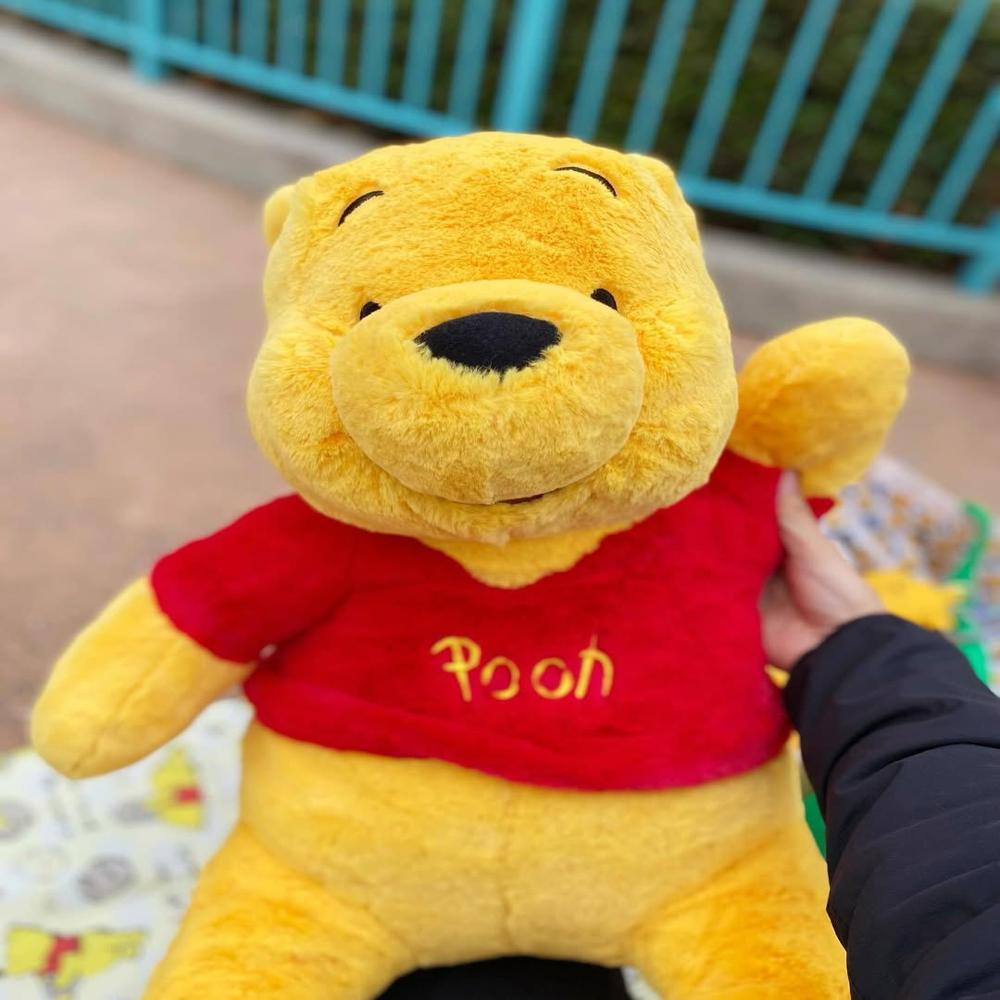 SOFT TOY POOH
