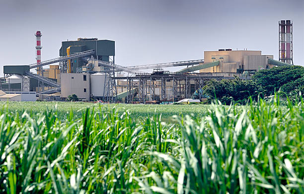 White Sugar Sulphur Plant - Automatic Grade: Automatic