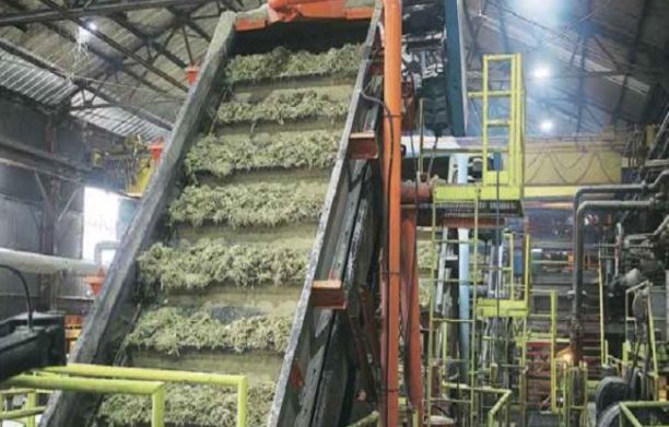 White Sugar Non-Sulphur Plant - Automatic Grade: Automatic