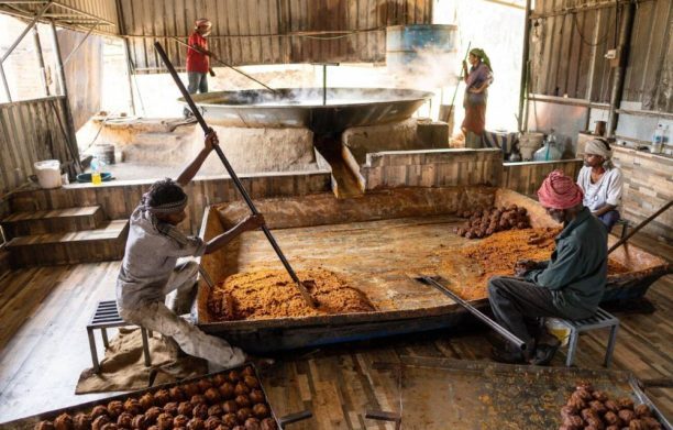 Jaggery Powder Plant - Mild Steel, Automatic Grade, Electric Drive (220-440 Volt), Coated Surface Finish | Stable Operation for Industrial Use