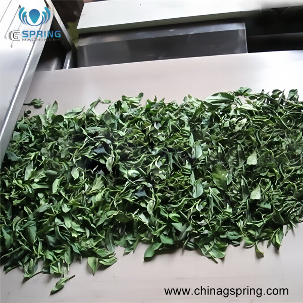 Industrial Tunnel Continuous Green Tea Dryer - Color: Silver
