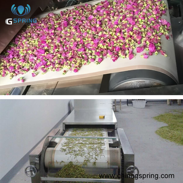 Industrial Tunnel Continuous Green Tea Dryer - Color: Silver