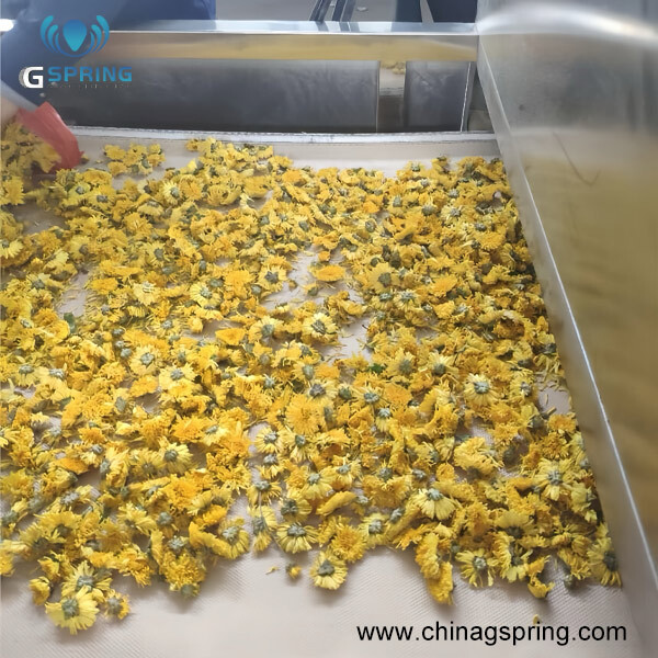 Industrial Tunnel Continuous Green Tea Dryer - Color: Silver