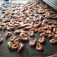 Tunnel Conveyor Microwave Shrimp Dryer