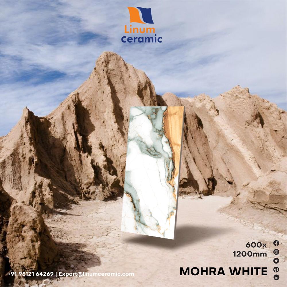 600x1200 MM Sephoria Glossy Finish Tile