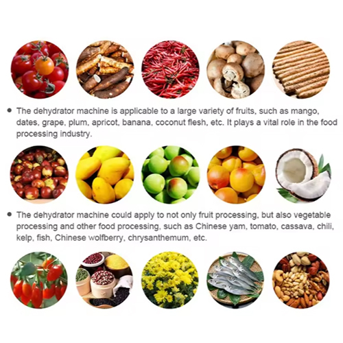 Industrial Commercial Food Dehydrator For Vegetable Fruit And Meet Dryer Dehydrator - Feature: High Efficiency