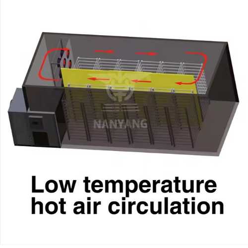 Factory Direct Commerce Fruit Processing Equipment Mango Banana Grape Cranberry Blueberry Strawberry Tray Dryer - Feature: High Efficiency