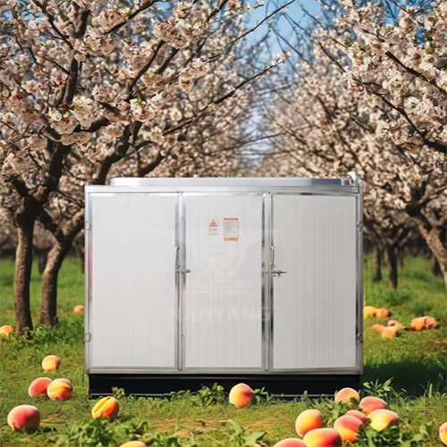 Multi-Functional Fruit And Vegetable Processing Equipment Fig Jackfruit Yellow Peach Durian Tunnel Dehydrator - Feature: High Efficiency