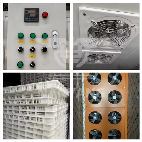 2025 Hot Selling Food Drying Equipment Fruit Vegetable Hops Moringa Leaf Aloe Maca Tray Dehydrator - Feature: High Efficiency