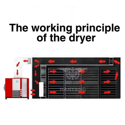 Large-capacity Hot Air Circulation Dryer Dehydration Equipment Leaf Blade Flower Tea Leaf Dryer Oven - Feature: High Efficiency