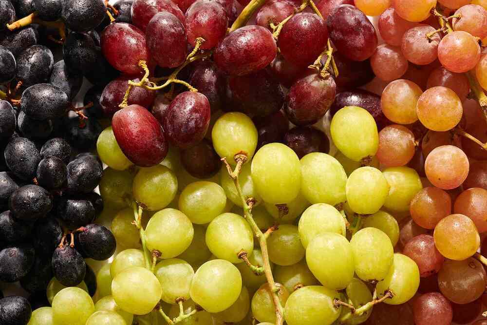 Fresh Grapes