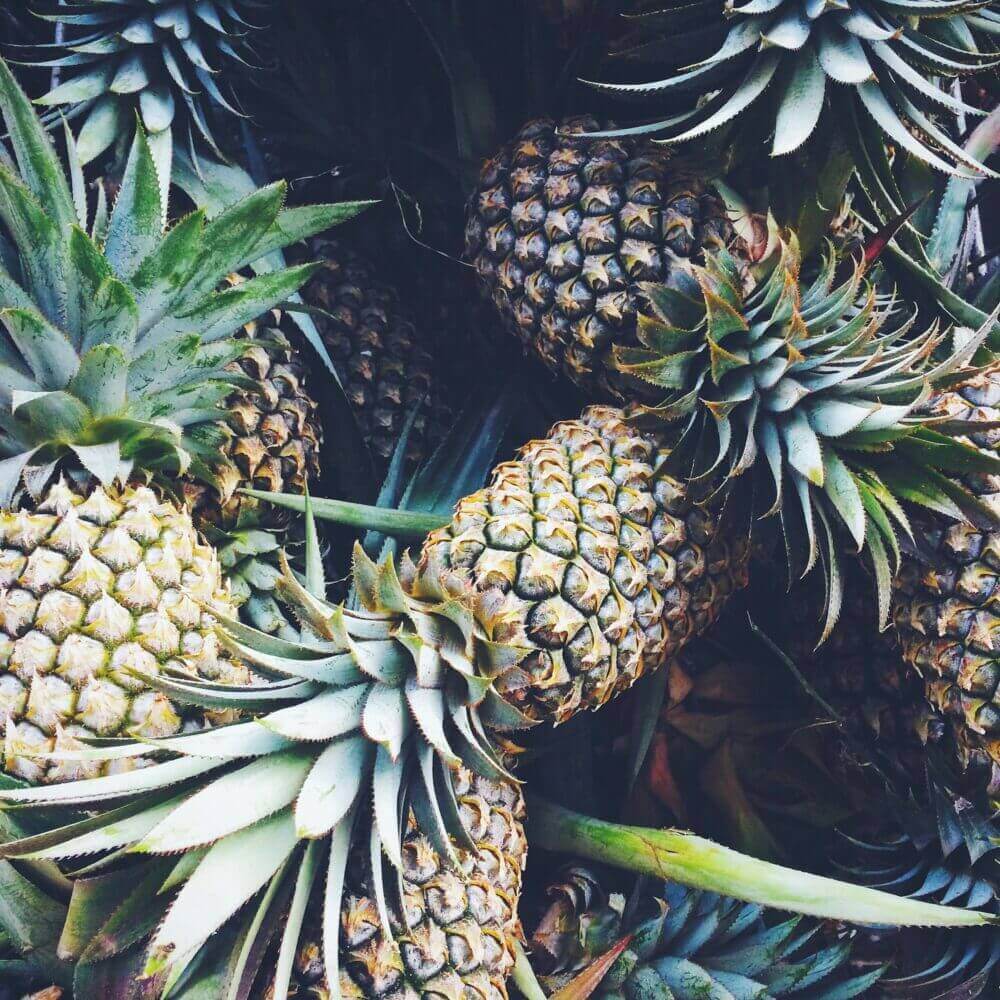 Fresh Pineapple - Cultivation Type: Common