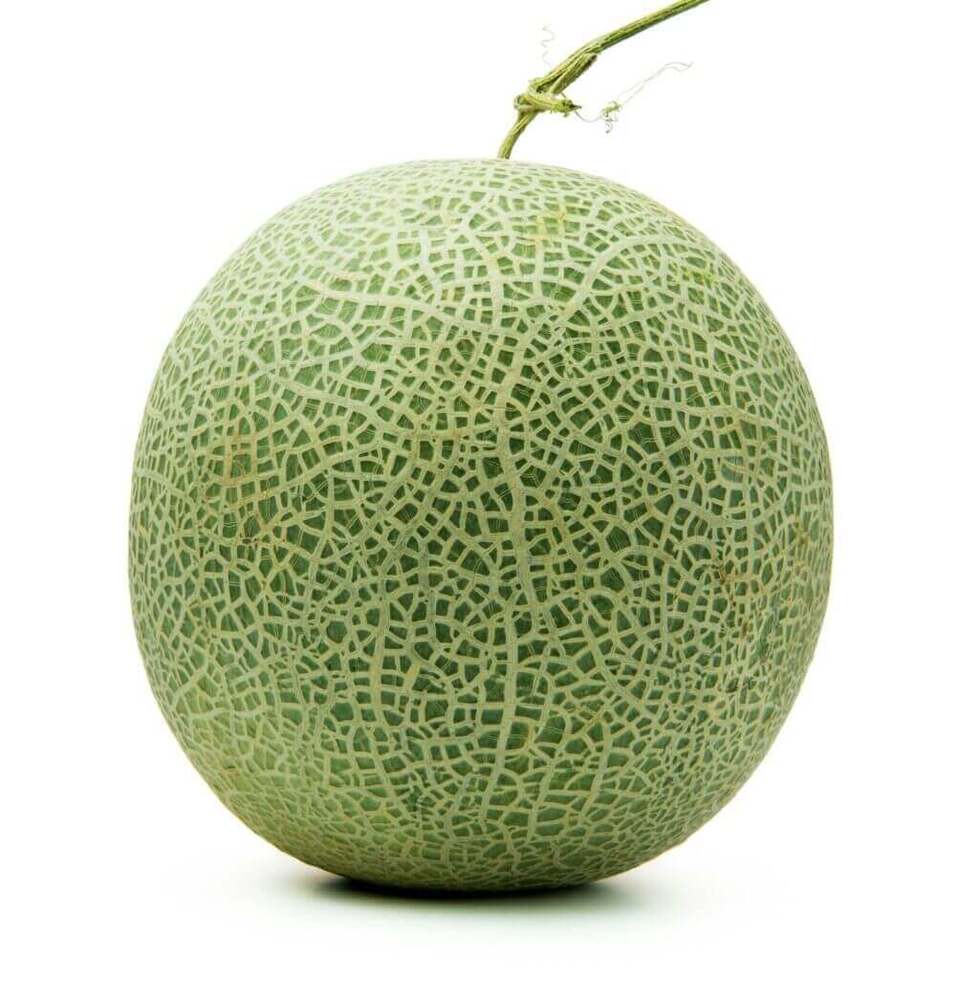 Rock Melon - Cultivation Type: Common