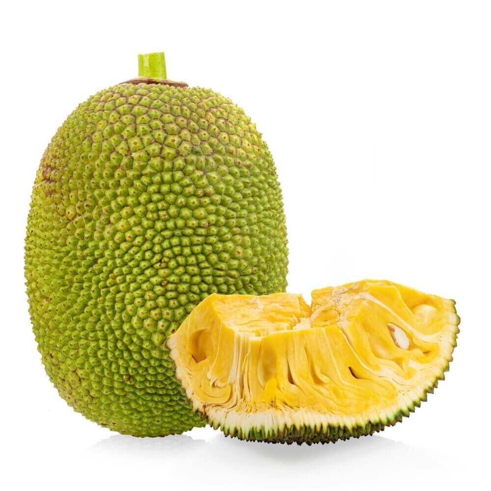 Fresh Jackfruit - Cultivation Type: Organic