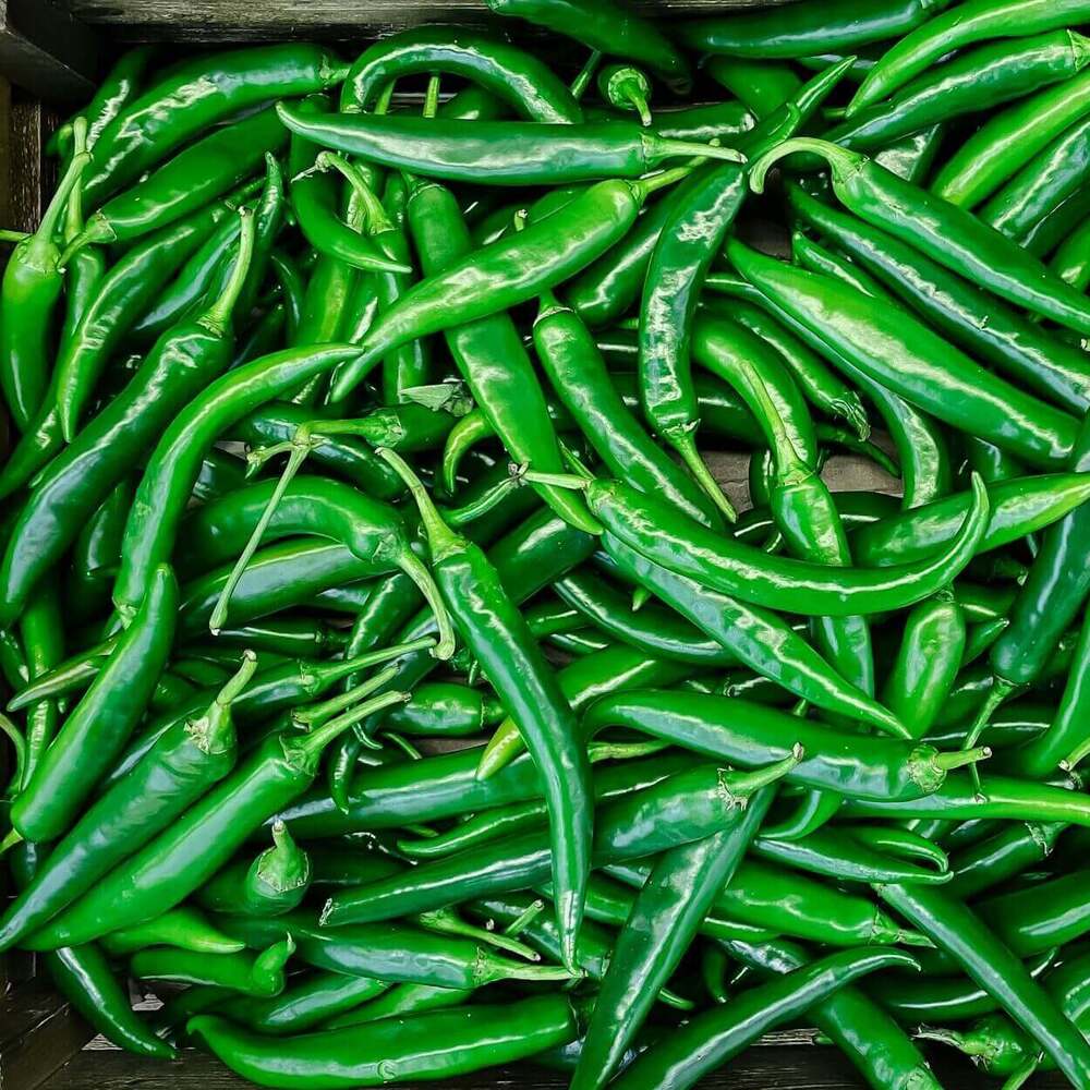 Green Chilli - Cultivation Type: Organic