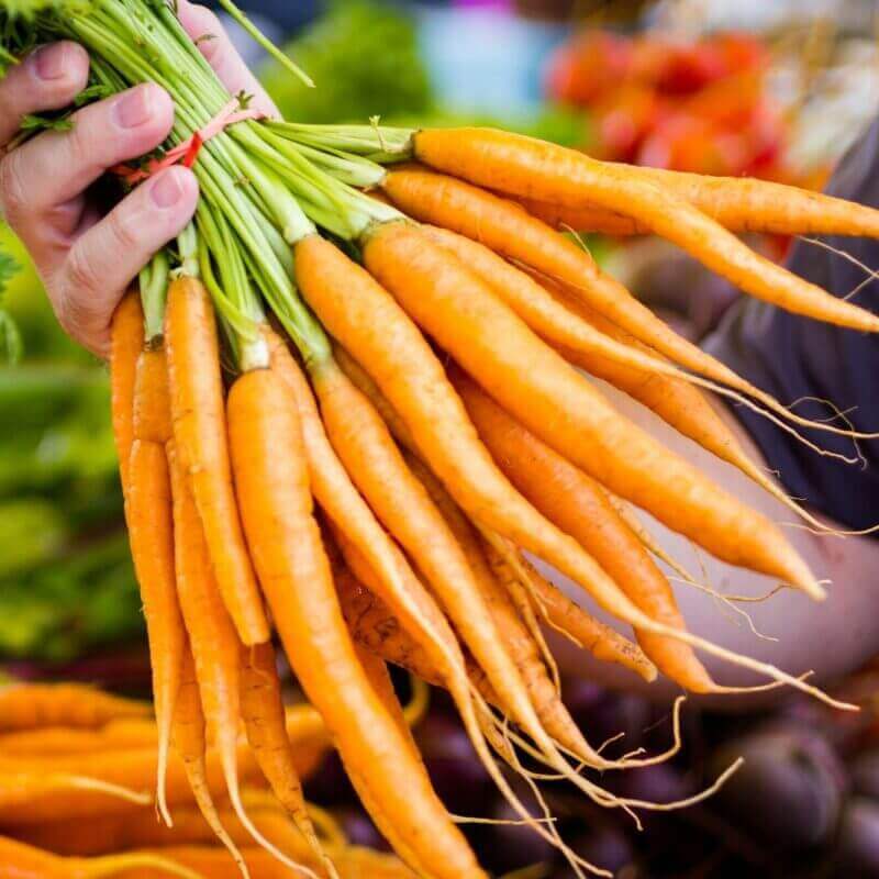 Fresh Carrot - Cultivation Type: Organic