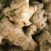 Mango Ginger - Cultivation Type: Organic