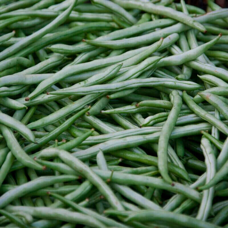 Green Beans - Cultivation Type: Organic