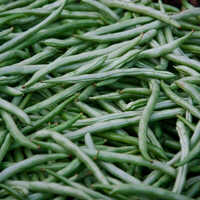 Green Beans