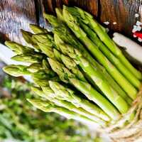 Fresh Asparagus - Cultivation Type: Organic