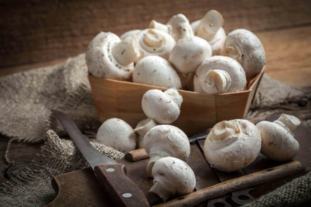 Fresh Mushroom - Cultivation Type: Organic