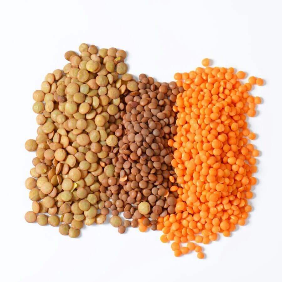 Indian Lentils - Cultivation Type: Common