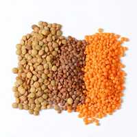 Indian Lentils