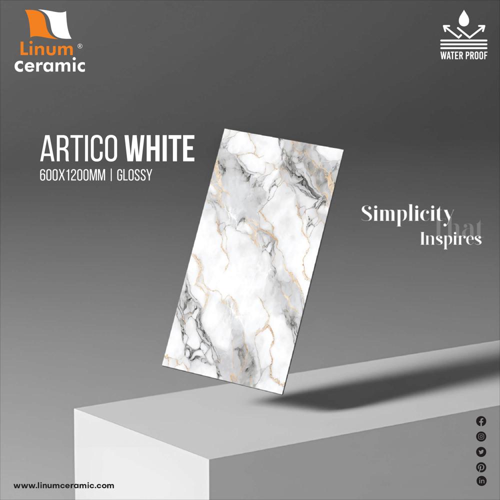 600x1200 MM Bruce Dove Glossy Finish Tile
