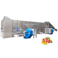 Multifunctional Large Capacity Fruit Dryer Vegetable Drying Machine Cassava Yam Mesh Belt Dryer