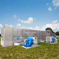 Continuous Mesh Belt Dehydratorfruit Vegetable Meat Seafood Herbs Flower Tea Mesh Belt Dryer