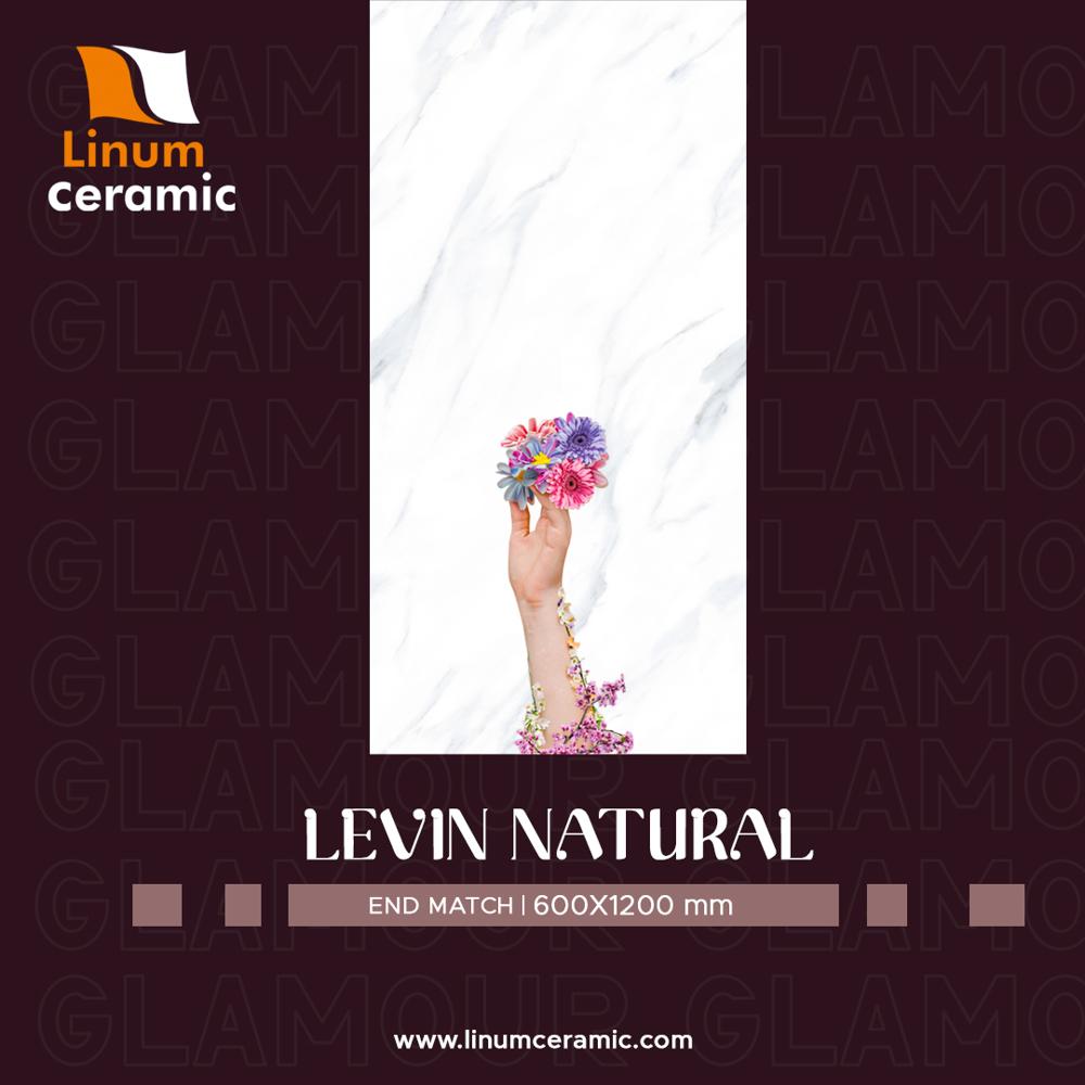 600x1200 Mm Carino Onyx Glossy Finish Tile - Color: Different Available