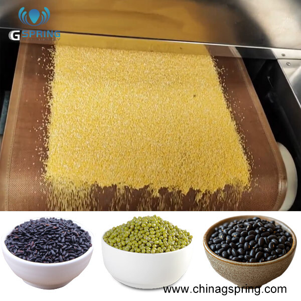 Industrial Cost-effective Tunnel Conveyor Belt Type Corn Grits Bean Grain Dryer Machine