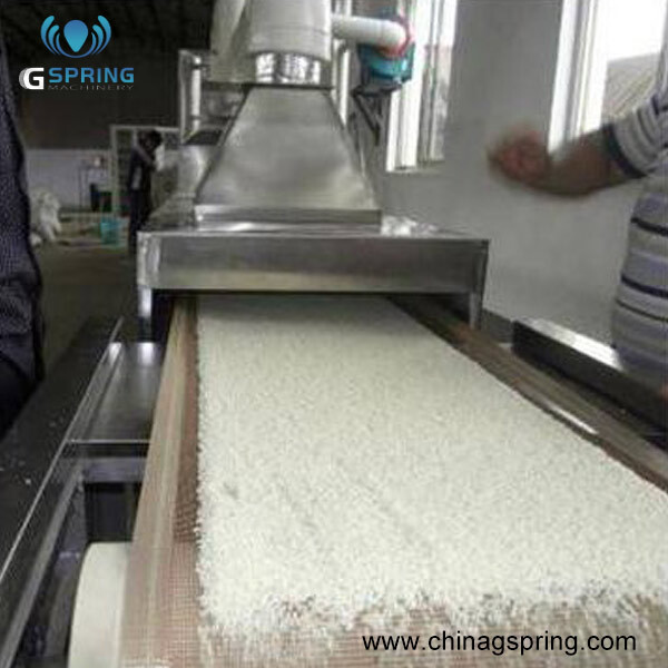 Cost-effective Tunnel Conveyor Belt Type Corn Grits Bean Grain Dryer Machine