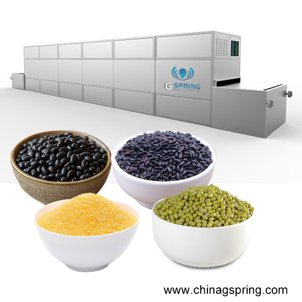 Cost-effective Tunnel Conveyor Belt Type Corn Grits Bean Grain Dryer Machine