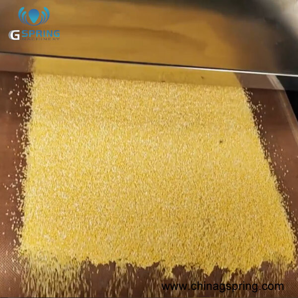 Cost-effective Tunnel Conveyor Belt Type Corn Grits Bean Grain Dryer Machine