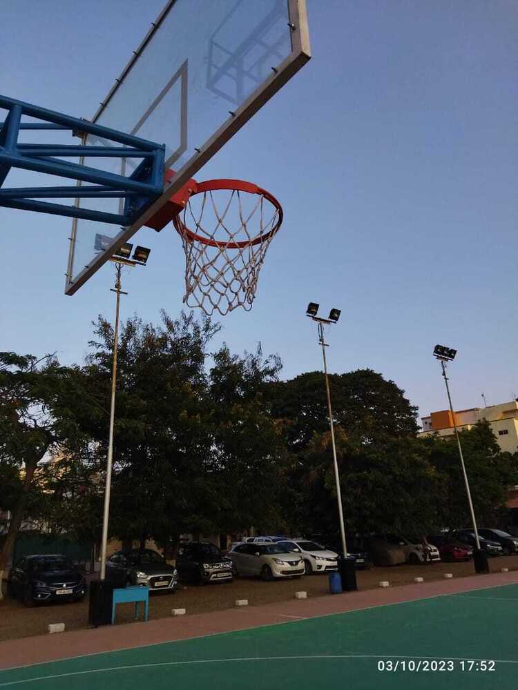 Basketball Net