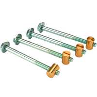 Stainless Steel Bed Bolt