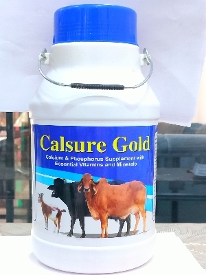Calsure Gold Calcium (10 Ltr.)