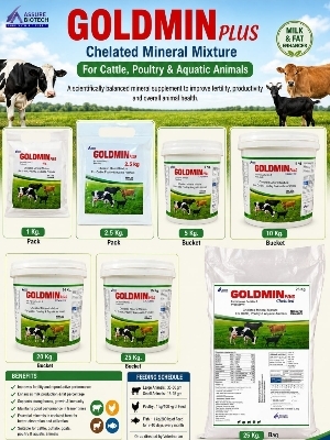 Goldmin-Plus (Pouch) - Efficacy: Feed Preservatives