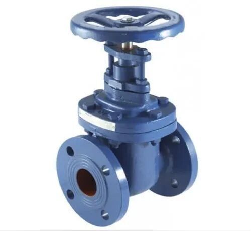 Industrial Gate Valve - Cast Iron, 1/2