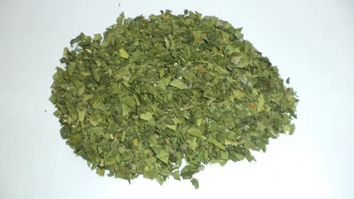 Gymnema Sylvestre Gurmar Leaves - Age Group: Suitable For All