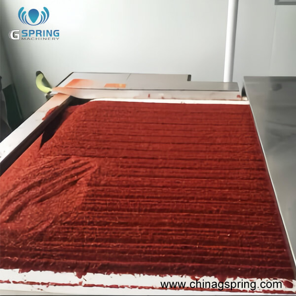 Industrial Continuous Microwave Condiment /Spices Dryer - Color: Silver