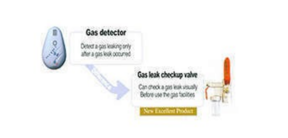Gas Leak Check Valve