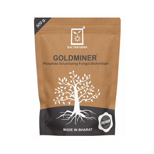500G Goldminer Phosphate Solubilizing Fungal Biofertilizer - Application: Agriculture